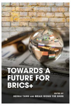 Towards a Future for BRICS+
