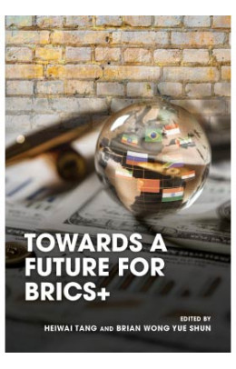 Towards a Future for BRICS+