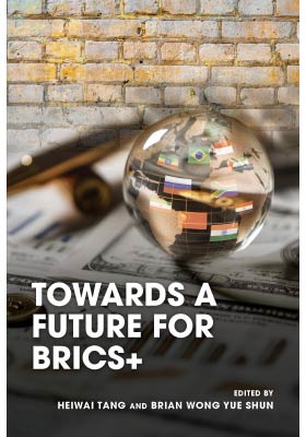 Towards a Future for BRICS+